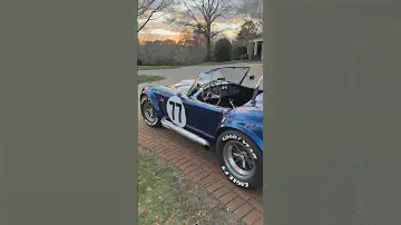 SHELBY COBRA 🐍