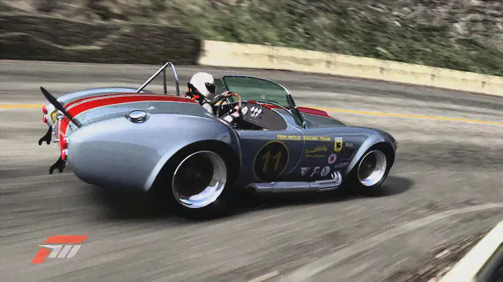 Seb (UT8C), Fujimi, Shelby Cobra "Atomic WS & Baril Corporation"